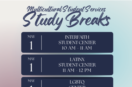 Multicultural Student Study Breaks