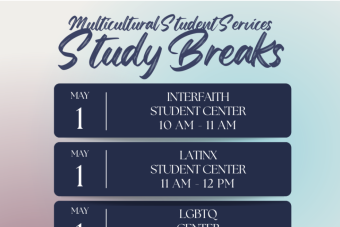 Multicultural Student Study Breaks